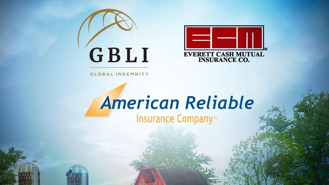 Global Indemnity Agrees 85mn American Reliable And Renewal Book Sale 