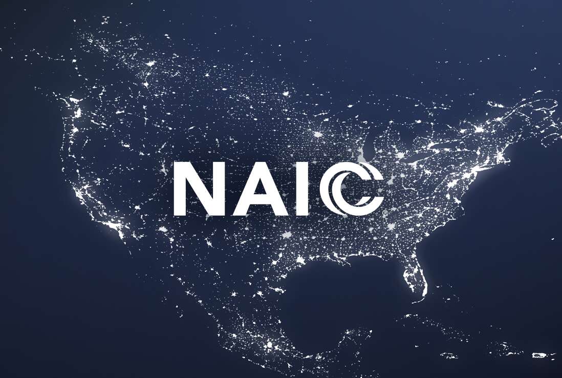 NAIC announces 2025 strategic priorities The Insurer