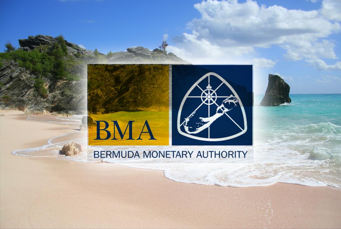 BMA increases ESG focus with climate risk supervisory team