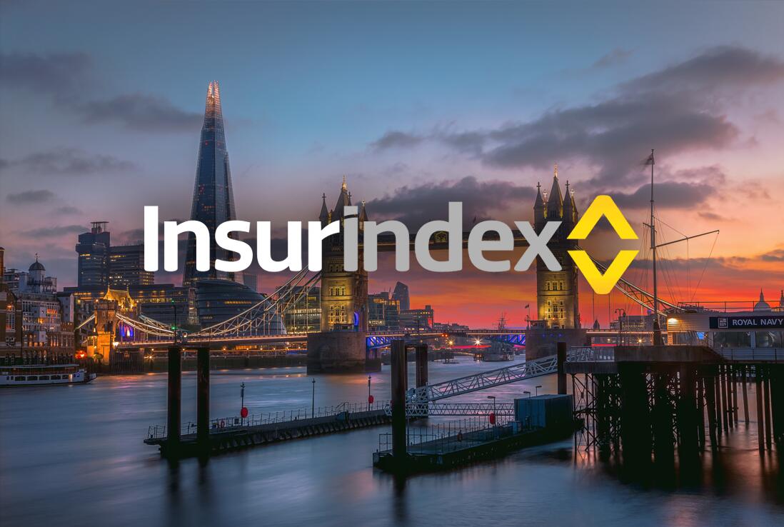 Insurindex