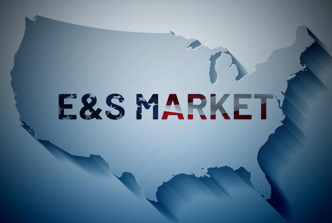 E&S market