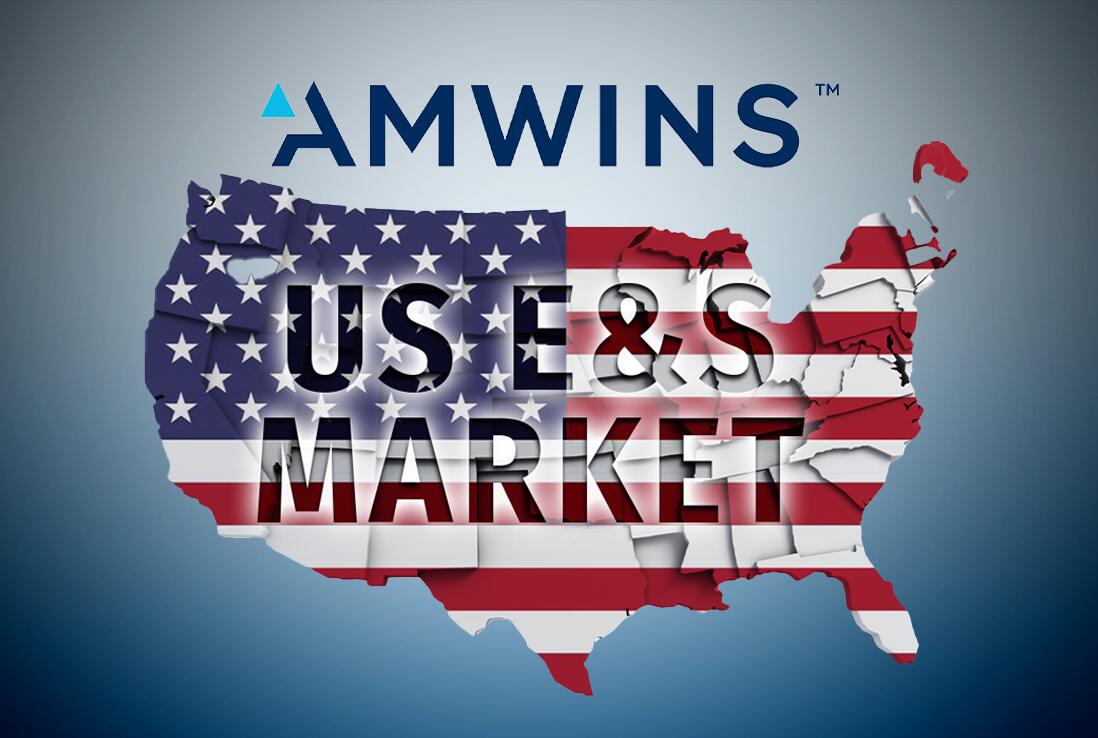 Amwins US E&S market
