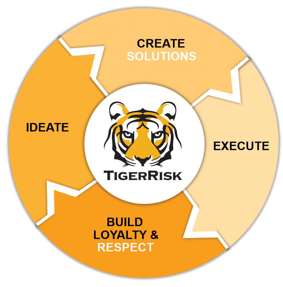 TIGERRISK-Flywheel