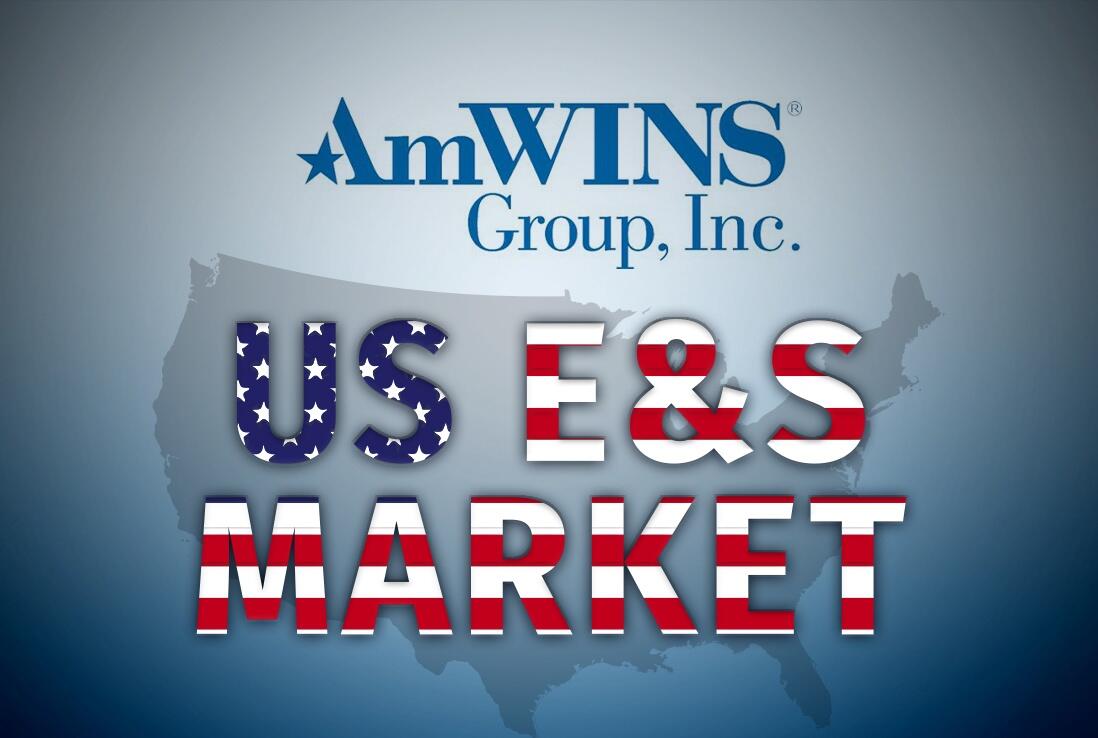 Amwins E&S market