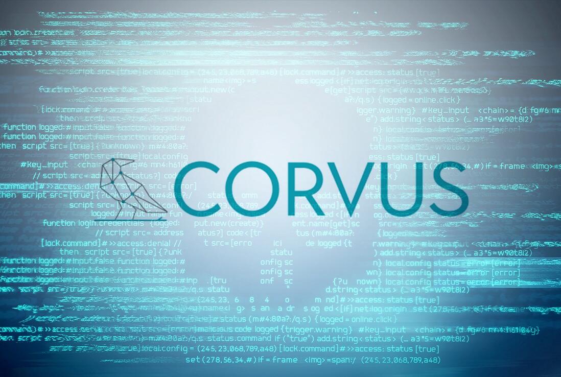 Corvus