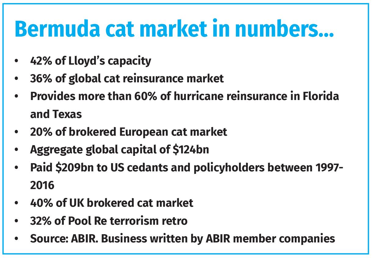 Bermuda-cat-market-in-numbers