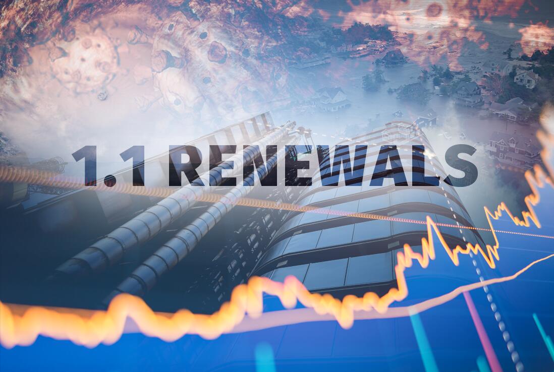 1.1 Renewals