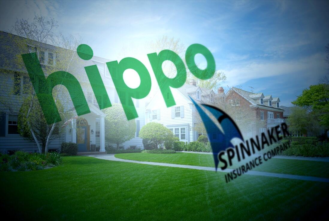 Hippo and Spinnaker