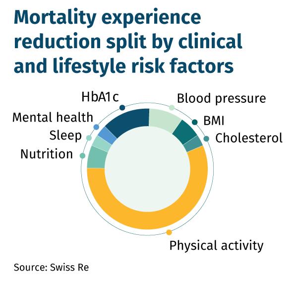 Mortality experience reduction split by clinical and lifestyle risk factors