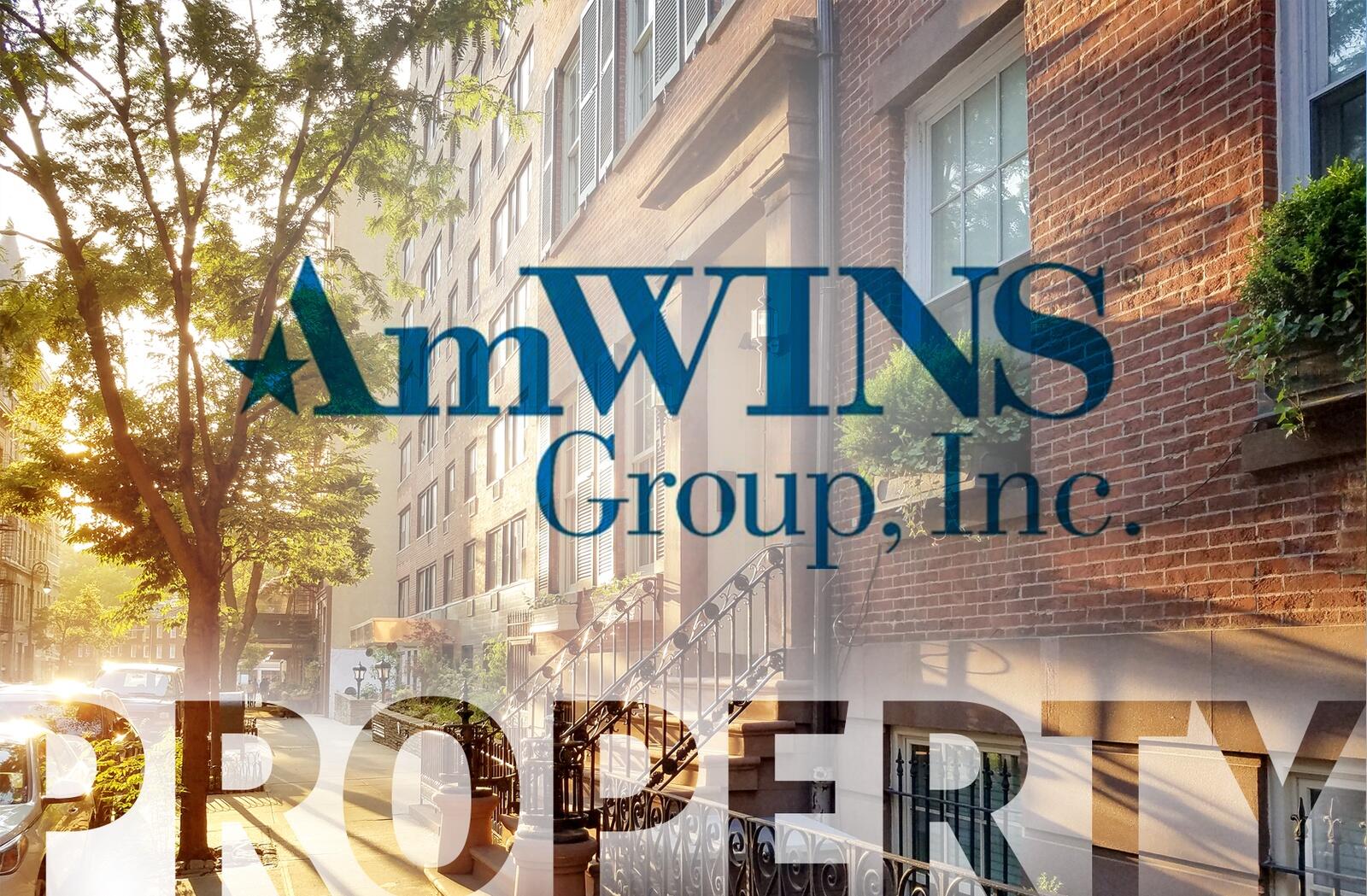 AmWINS property
